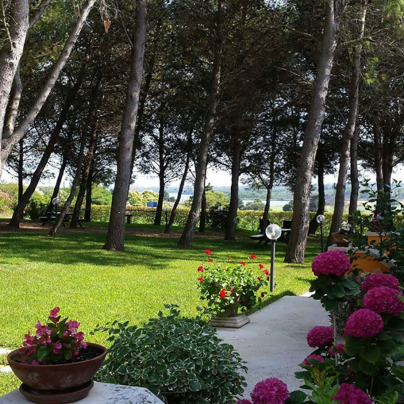 agriturismo-sole-del-mediterraneo12