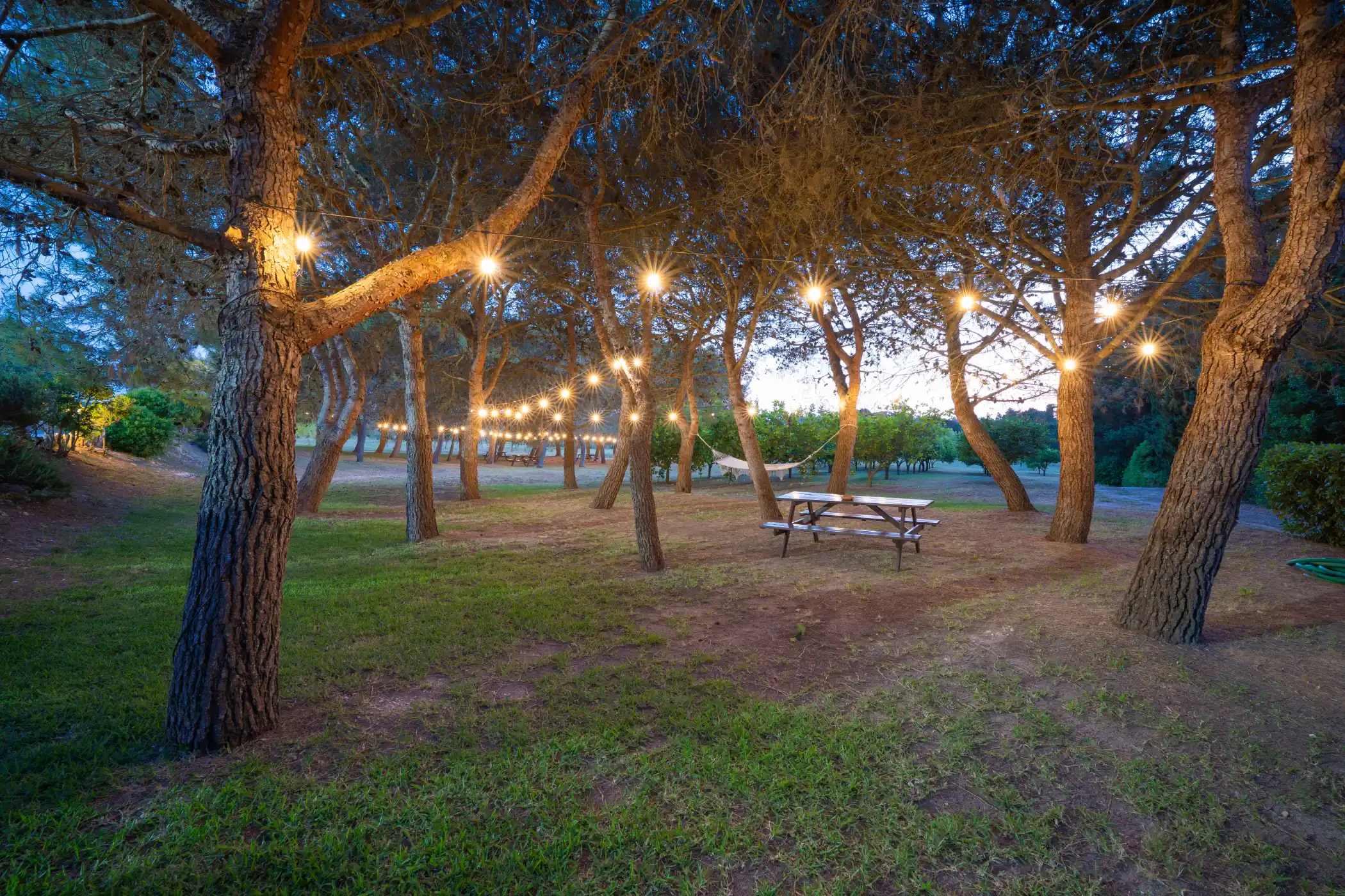 Galleria – Sol del Mediterraneo (19)
