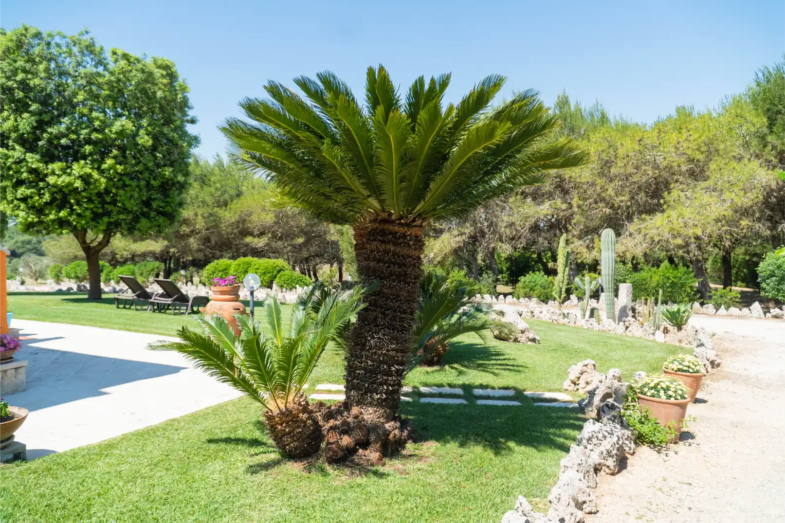 Galleria – Sol del Mediterraneo (36)