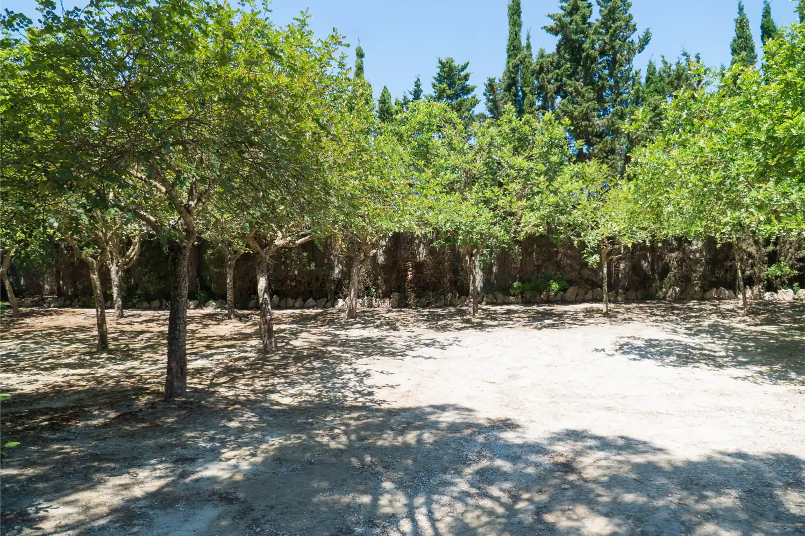 Galleria – Sol del Mediterraneo (40)
